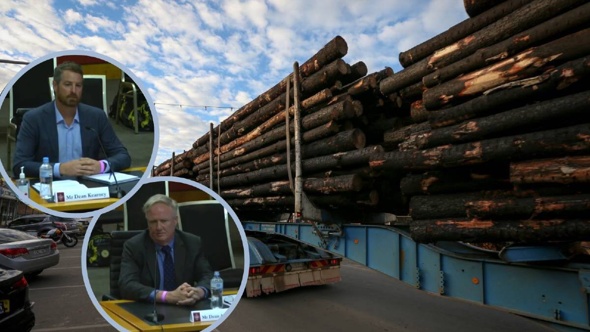 Dean Kearney and Dean Anderson of NSW Forestry Corporation spoke at a state inquiry into the future of the forestry industry last week. Pictures: James Wiltshire, NSW Legislative Council.