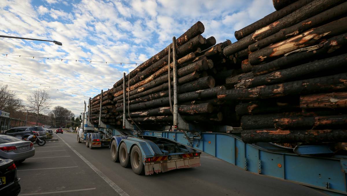 Logs burnt in the 2019/20 Black Summer bushfires delivered to Tumbarumba's Hyne timber mill last year for processing. Picture: James Wiltshire