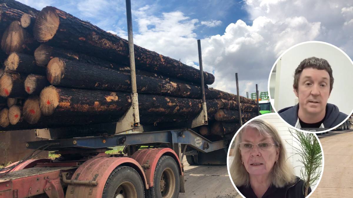 Delegates from Tumut's AKD timber mill appeared before the state inquiry into the future of the forestry industry. Pictures: File, NSW Parliament