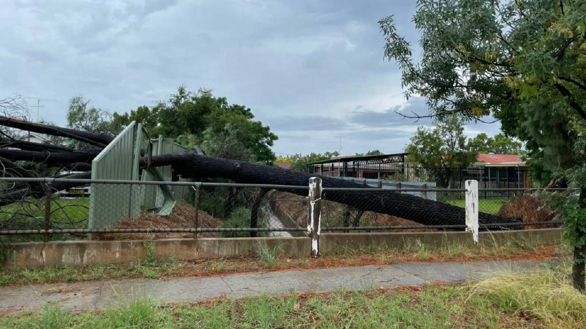A severe thunderstorm in Narrandera overnight on Friday has led to debris, fallen trees, power outages and damage to property across the township. Pictures: Steph Cooke MP