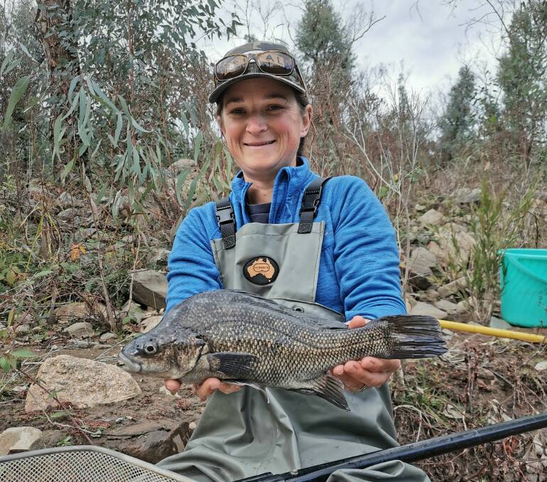 THRILLED: Dr Katie Doyle from Charles Sturt University was ecstatic to confirm the discovery of three Macquarie Perch's at Mannus Creek. The species was believed to have been extinct from the Murray catchment. Picture: Supplied 