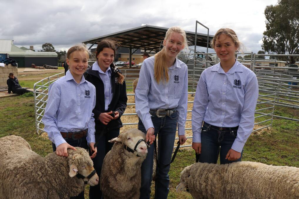 DEDICATION: Wagga Christian College's Isabelle Armstrong, Brenna Guilfoyle, Alesha Bennett and Amy Carmichael, are hoping to have produced the states best Merinos. Picture: Supplied 
