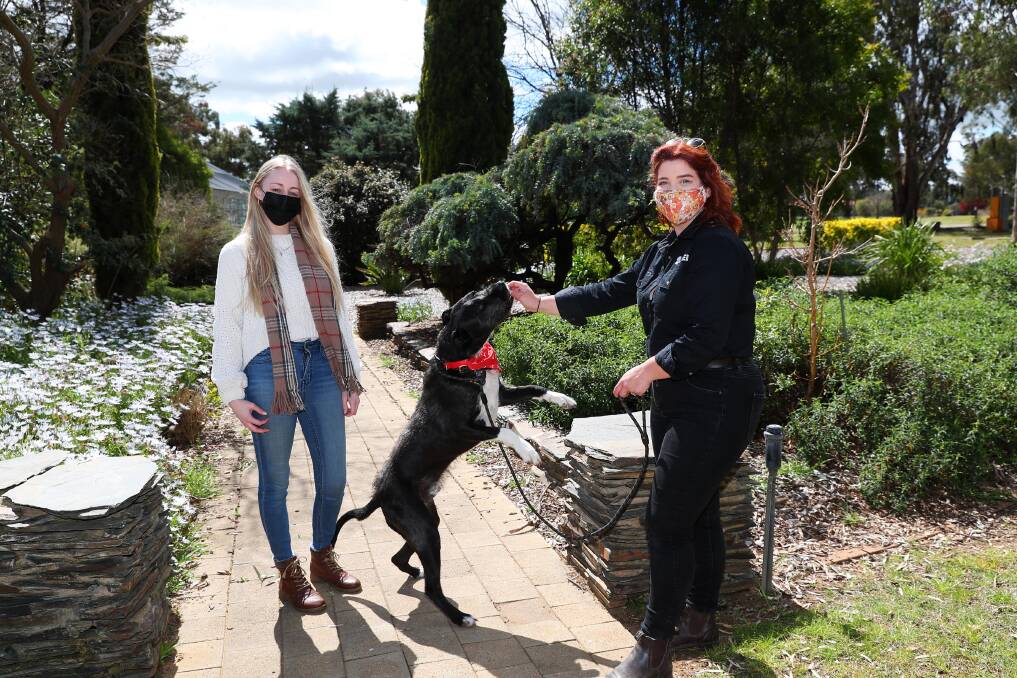 PET CARE: Student Dayna Spuur and Tamara Percival with Chudley. They encouraged animal lovers to enrol in the new course. PIcture: Emma Hillier