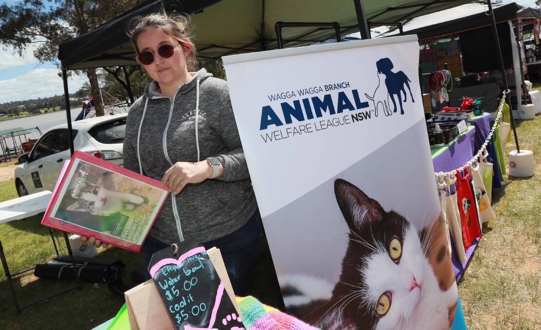 UNDER STRAIN: Wagga Animal Welfare League branch president Rebecca Kotzur is calling for people to foster cats. Picture: Les Smith
