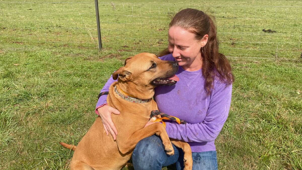 FUREVER HOME: Sarah Heffernan and 'Tully'. Taking care of animals is Ms Heffernan's "dream job" but she believes shelter's are not the ideal environment for dogs or cats who she would rather she in homes.