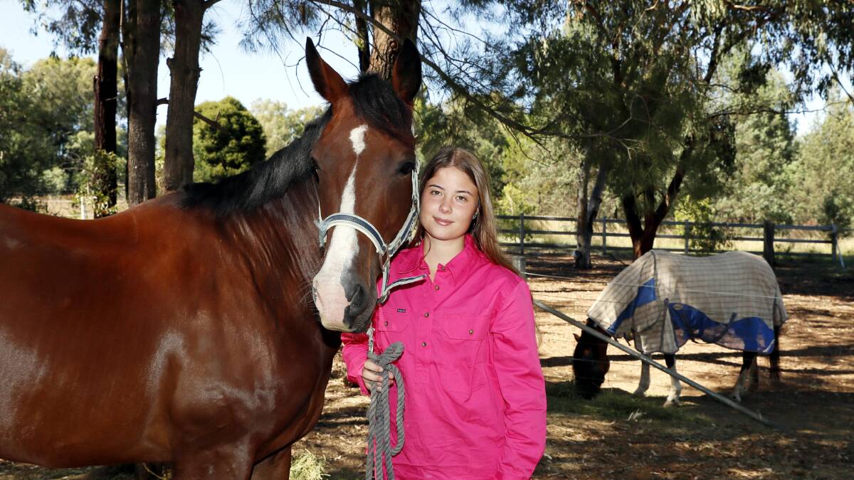 OWNERS CONCERNED: Jade Tapfield is constantly having to check her horse Chester for symptoms due to concerns for his health amid the West Nile virus outbreak. Picture: Les Smith.