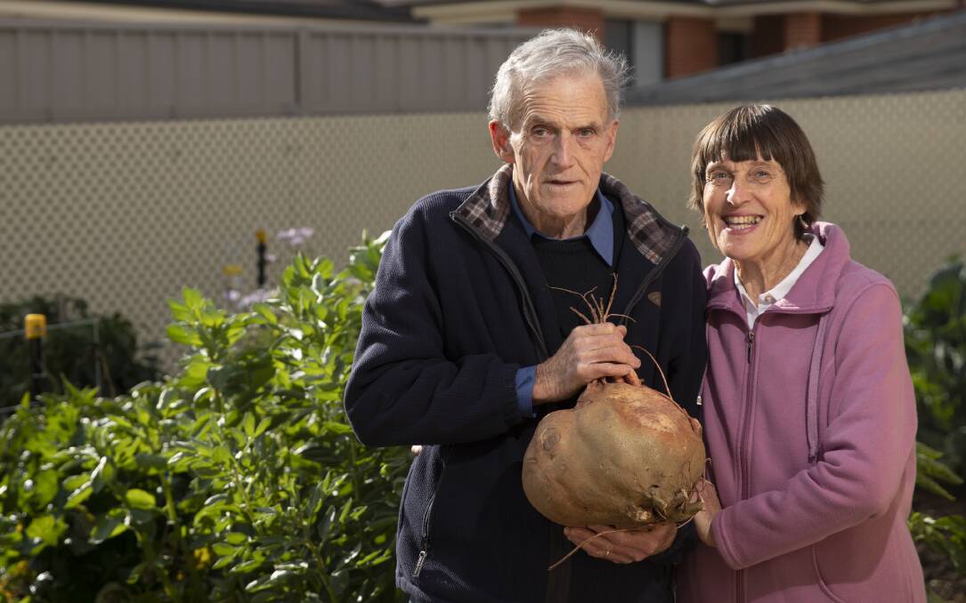 SWEET HARVEST: David and Heather Parkin grew a bumper crop of sweet potatoes, including one weighing in at 5kgs. Picture: Madeline Begley