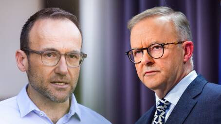 Greens leader Adam Bandt wants to negotiate with Labor on its climate targets. Picture: ACM