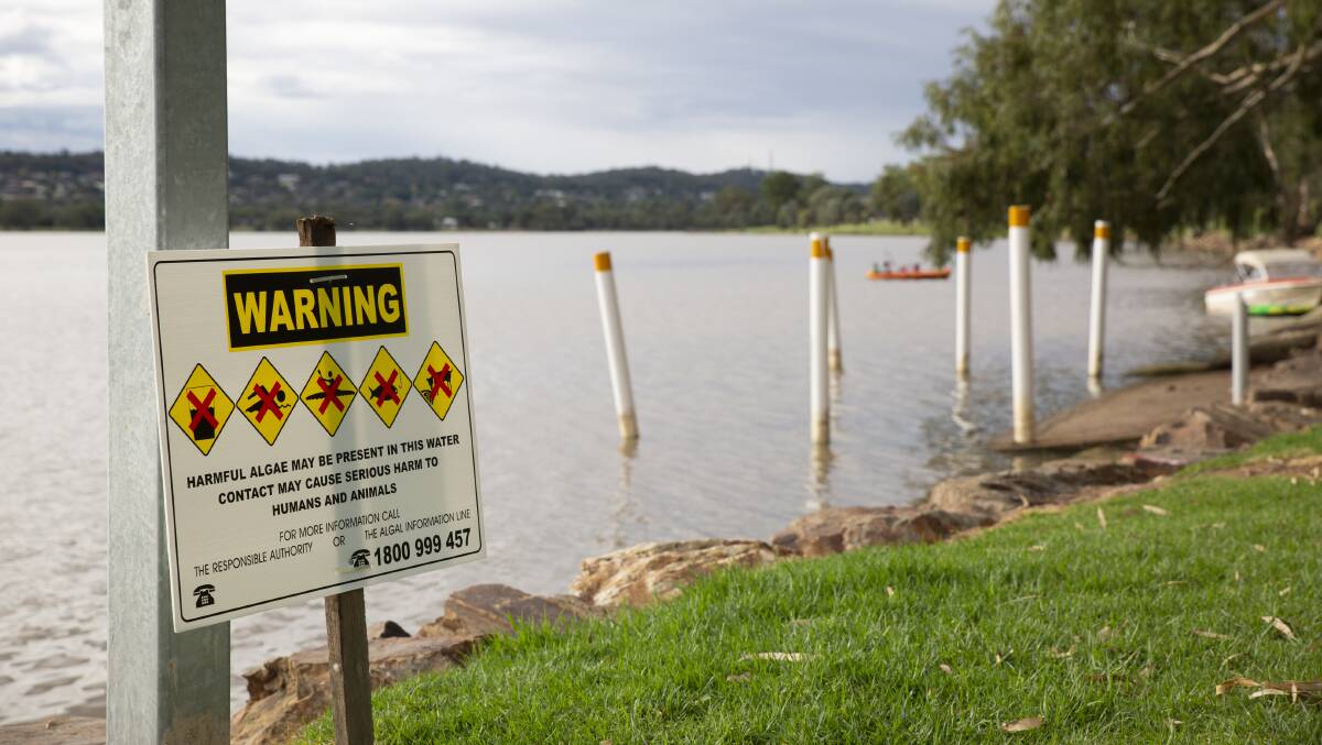 STAY OUT: Wagga City Council installed signs at Lake Albert on Monday morning alerting the public to the lake's latest blue-green algae outbreak. Picture: Madeline Begley