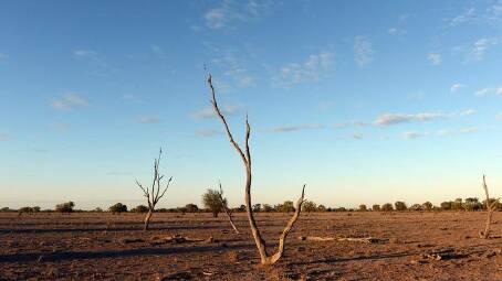 A new report from Farmers for Climate Action says increased natural disasters such as droughts and floods are already impacting on agricultural productivity and food prices. 