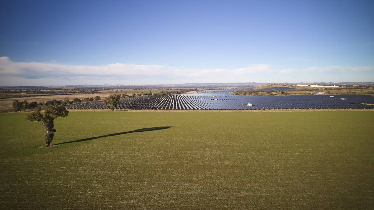 SUN HARVEST: Spark Renewables' proposed Mates Gully Rd solar farm would be larger than their Bomen Solar Farm when completed. 