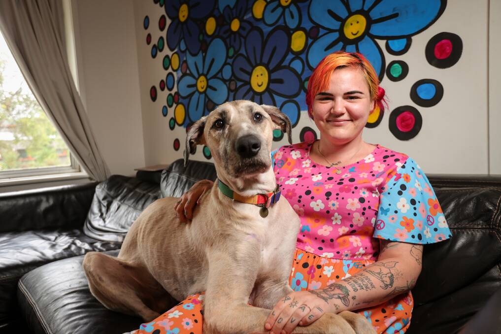Nicola Hutton has spoken of her joy at the strong recovery from a tick bite by her beloved Irish wolfhound Hendrix, known to many across the Border region as Heni the therapy dog. Picture by James Wiltshire