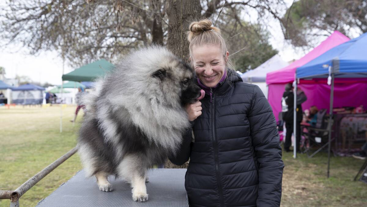 Tracey Parker travelled from north-west Sydney with Elvis, her beloved keeshond, to compete in this weekend's Wagga All Breeds Kennel Club championship show. Picture: Madeline Begley 