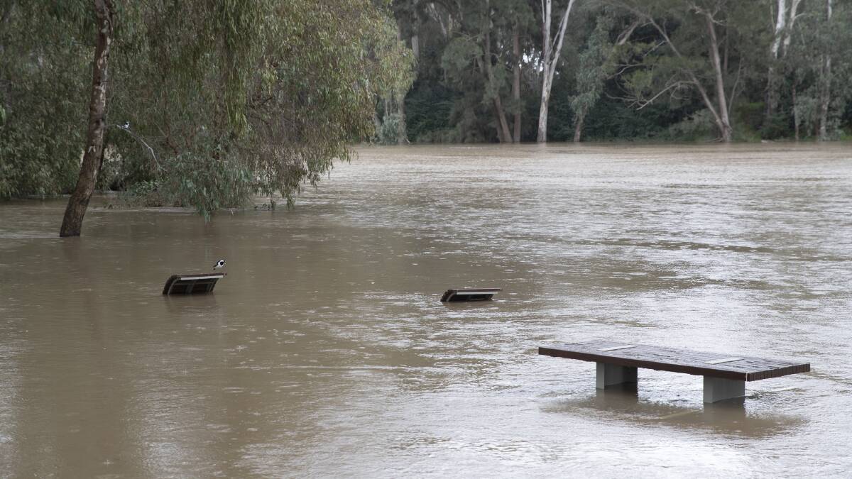 Wagga Beach just after 11am on Saturday morning, as the Murrumbidgee River continues to rise as a result of rainfall and dam releases. Picture: Madeline Begley