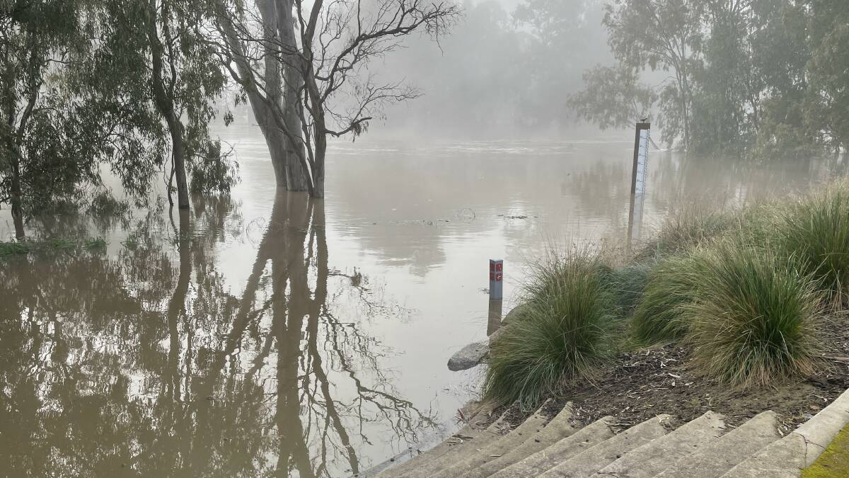 A photo of the same Murrumbidgee River location as above taken at 8am this morning. Picture: Tim Piccione 