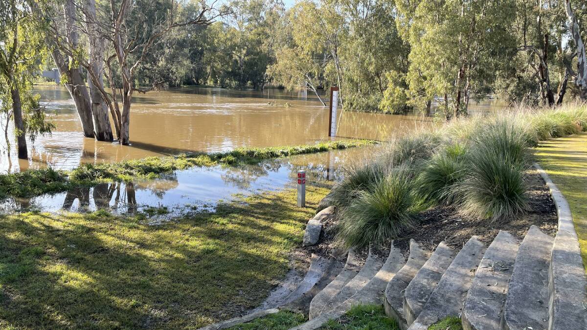 A picture of the Murrumbidgee River-adjacent Wiradjuri Walking Trail off north Fitzmaurice Street taken at 9am this morning. Picture: Tim Piccione 