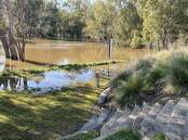 A picture of the Murrumbidgee River-adjacent Wiradjuri Walking Trail off north Fitzmaurice Street taken at 9am this morning. Picture: Tim Piccione 