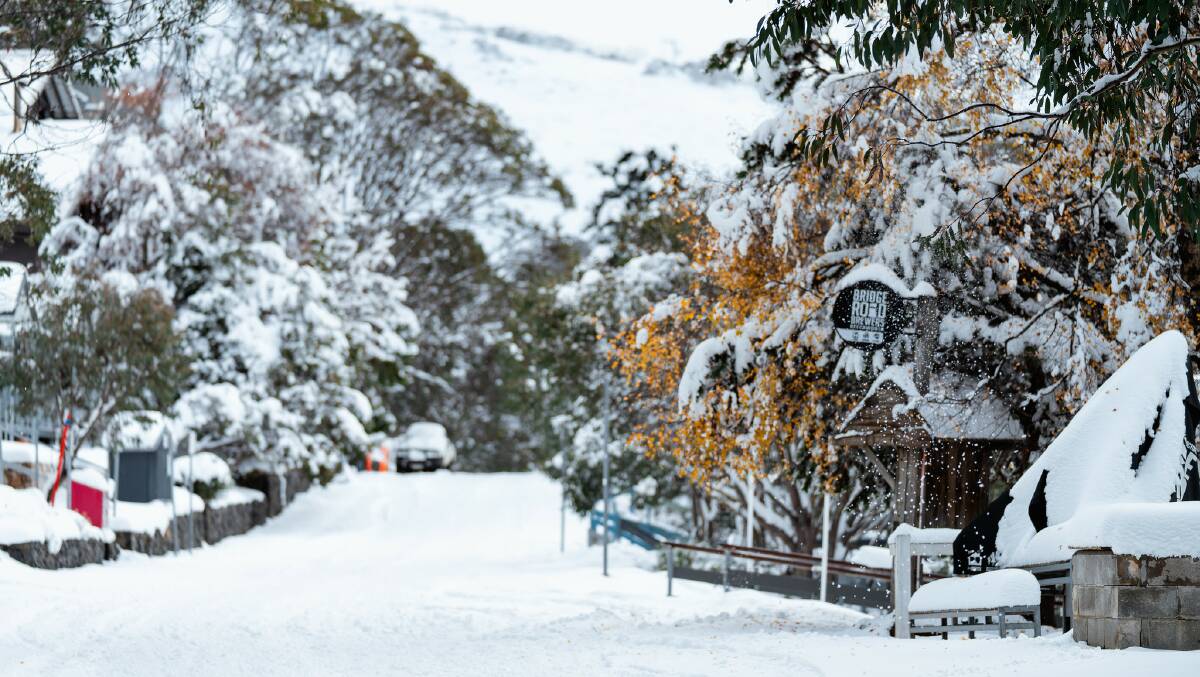 With plenty of ski hitting its slopes this week, Falls Creek Resort will open up Saturday, a week early than previously expected. Picture: Falls Creek Resort