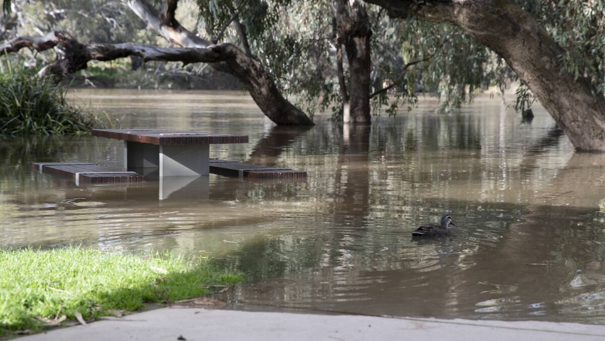 Benches at Wagga Beach underwater yesterday ahead of anticipated rising Murrumbidgee River levels. Picture: Madeline Begley