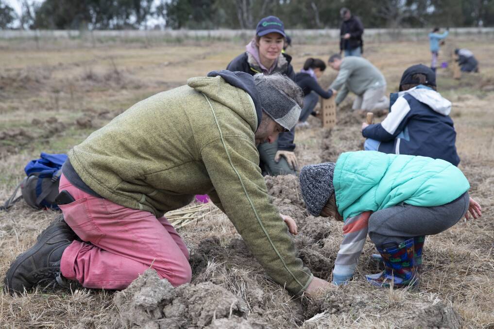 Eltan Mestan and son Eddie, 2, volunteered their Sunday morning to help plant 1300 new native trees at Wagga's Flowerdale Lagoon. Picture: Madeline Begley