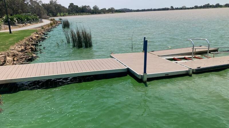 Blue green algae is starting to return to Lake Albert. This picture was taken near the Wagga Boat Club earlier this week. Picture contributed