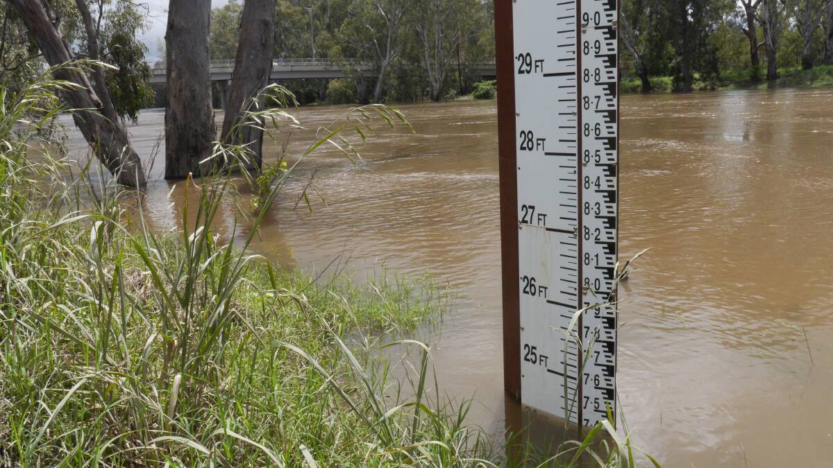 The Murrumbidgee River at Wagga was just above 7.4 metres at midday on Wednesday. Picture by Andrew Mangelsdorf
