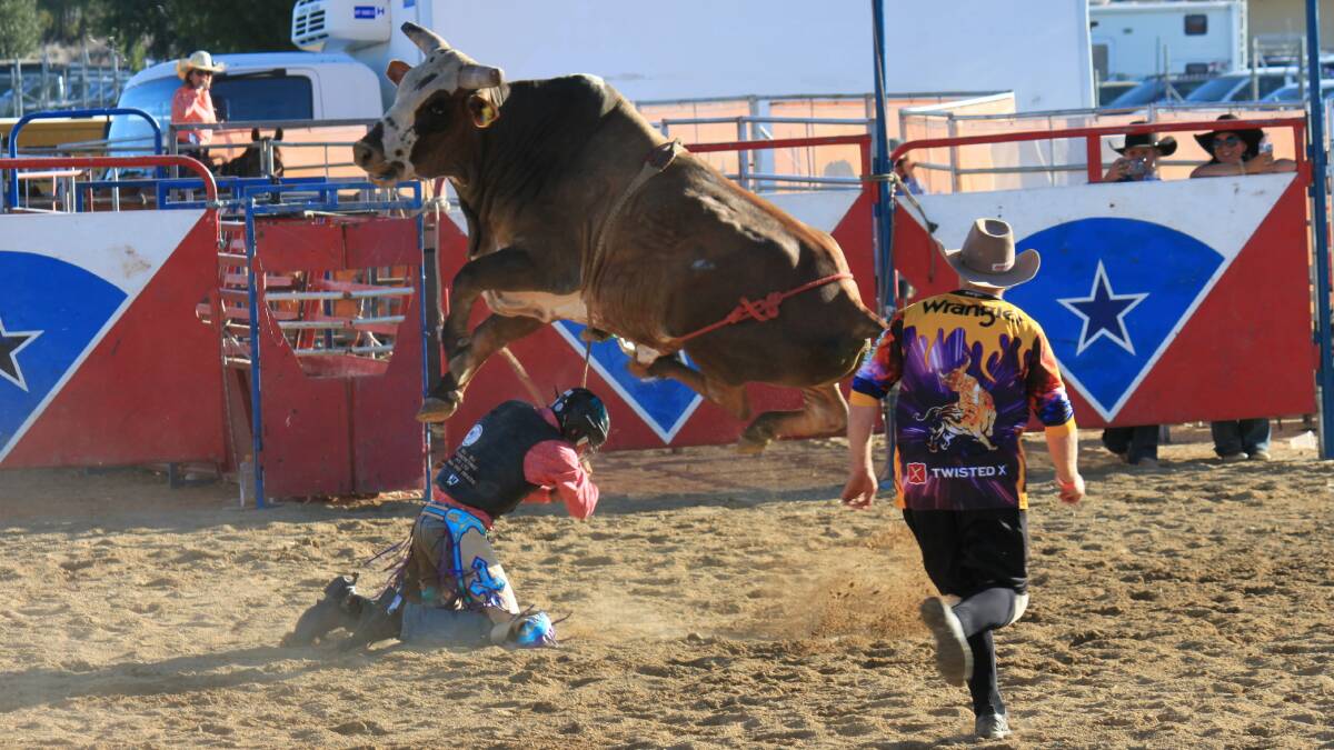 Some of the action at the Wagga Pro Rodeo this weekend. Picture courtesy Kim Bryon