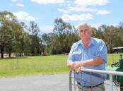 Lake Albert resident Glen Gaudron is upset about renewed plans to install a phone tower near his Sycamore Road property. The tower will be installed near the trees in the background, on a neighbour's property. Picture by Les Smith
