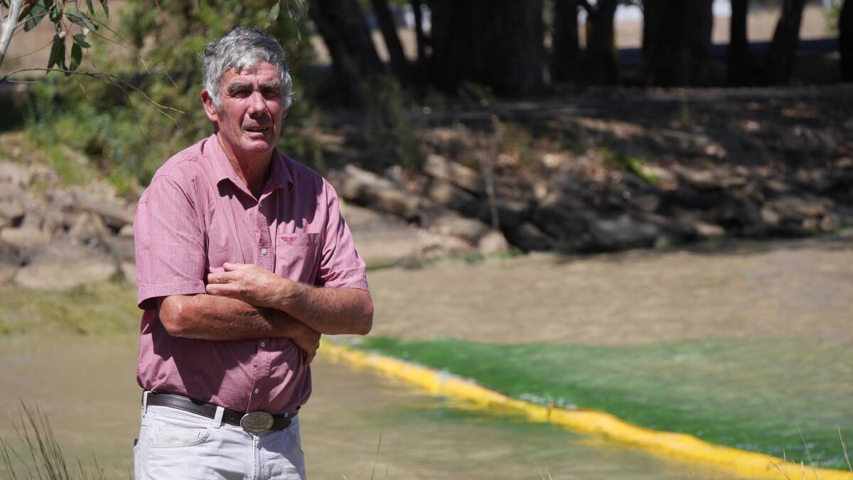 Wagga Councillor Mick Henderson is disappointed the blue green algae red alert on Lake Albert did not lift before summer ended. Picture by Andrew Mangelsdorf