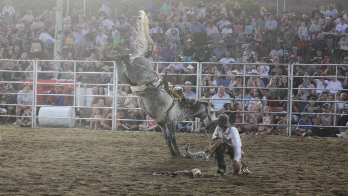 There was a record crowd of about 6000 people at this year's Wagga Pro Rodeo. Picture courtesy Kim Bryon