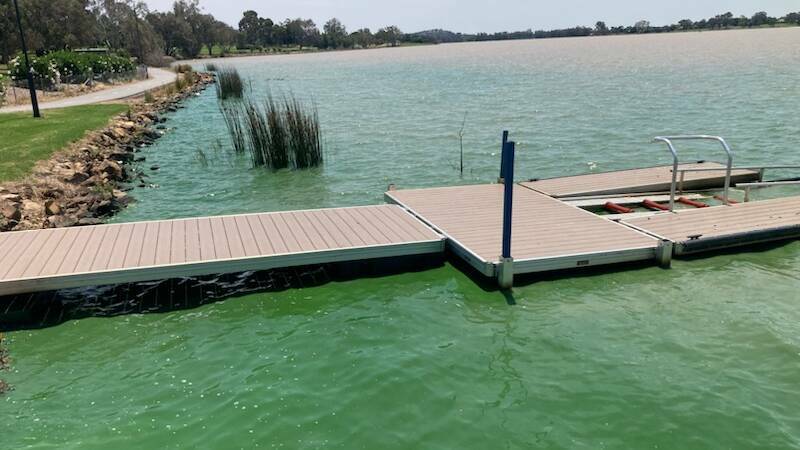 Blue green algae returned to Lake Albert this month. This picture was taken near the Wagga Boat Club. Picture contributed