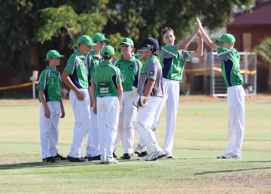 Wagga City Tigers celebrate a wicket during their under 16's grand final win against Wagga RSL. Picture by Les Smith