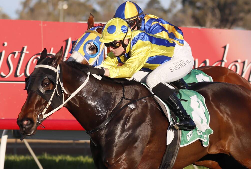 Magnetic winning at Wagga with Fiona Sandkuhl in the saddle last year. Picture by Les Smith