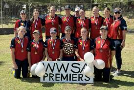 Wagga Softball Association youth premiers Turvey Park. Picture supplied