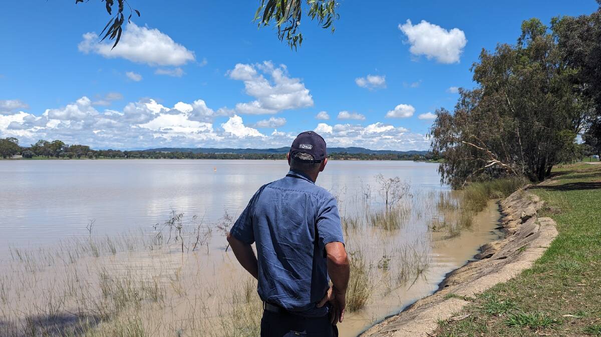 Wagga councillor Michael Henderson looks over a section of Lake Albert that has just received the Waterzyme treatment. Picture by Dan Holmes