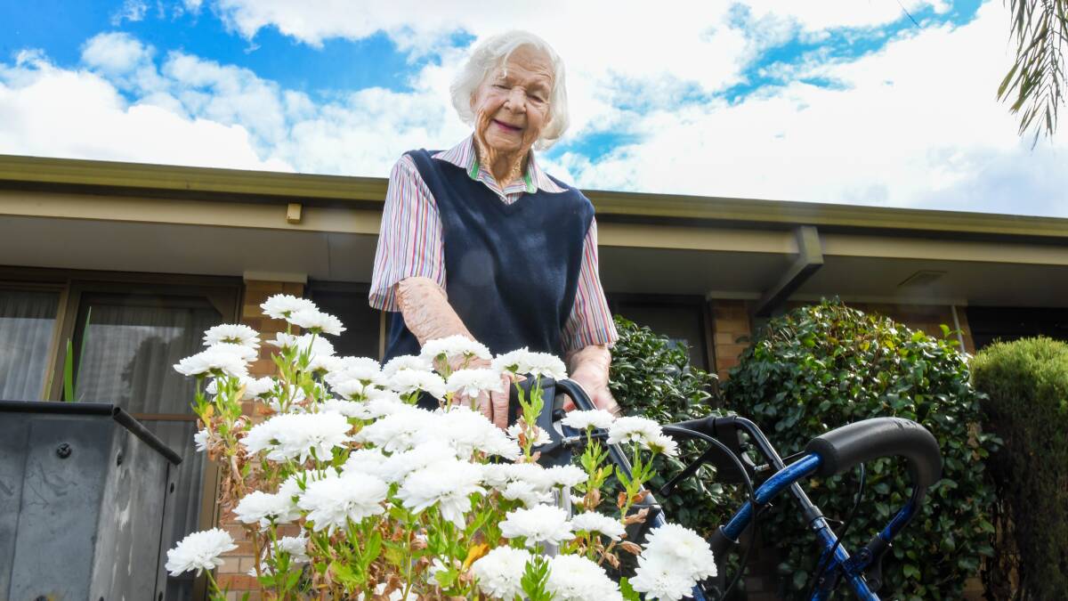 Meet Ellie May, the shih tzu keeping Wagga's centenarians company