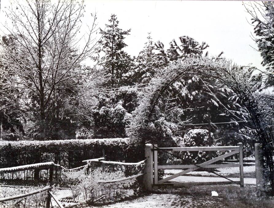 White winter: Snow in the Council Gardens early 1900s. Photo: Supplied.
