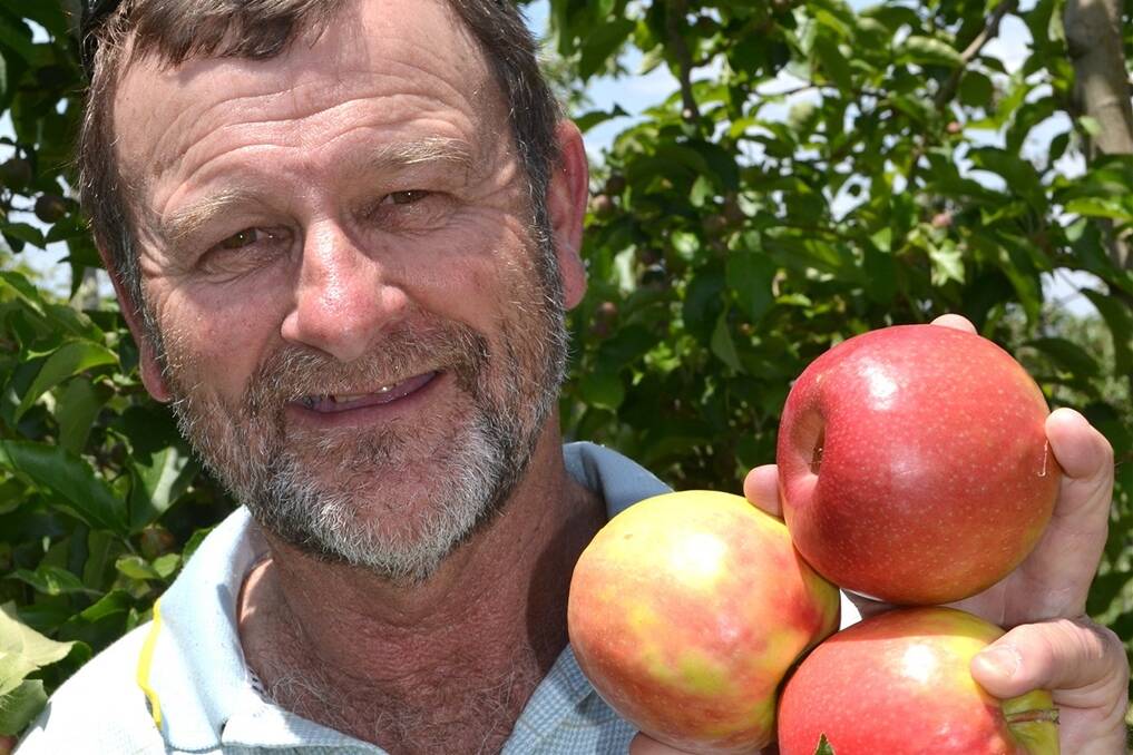 RECOVERY: Greg Mouat is an orchardist from Batlow in southern NSW. 