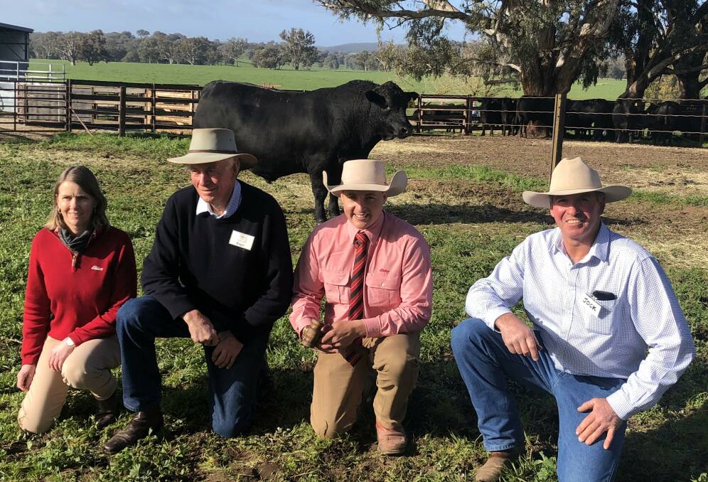 DEMAND: Elders studstock representative Jenni O'Sullivan, Albury, with Roger and Jock Harbison, Dunoon, and auctioneer Lincoln McKinlay (second from right). Picture: Brett Tindal