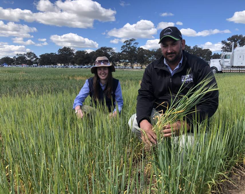 VARIETY FOCUS: Jocelyn Beattie and Aaron Giason, both of Baker Seeds at Rutherglen are pictured with a new barley variety. Picture: Nikki Reynolds