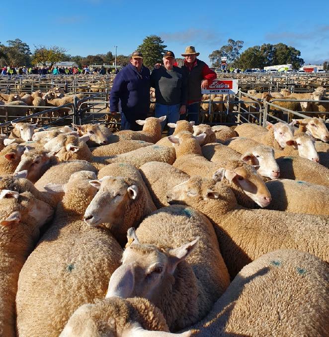MONDAY'S RESULT: David Hill, of David Hill Livestock and Property, Albury, vendor Gary Mickan of Walla and livestock agent Steve Grantham of Elders Corows. Picture: Supplied