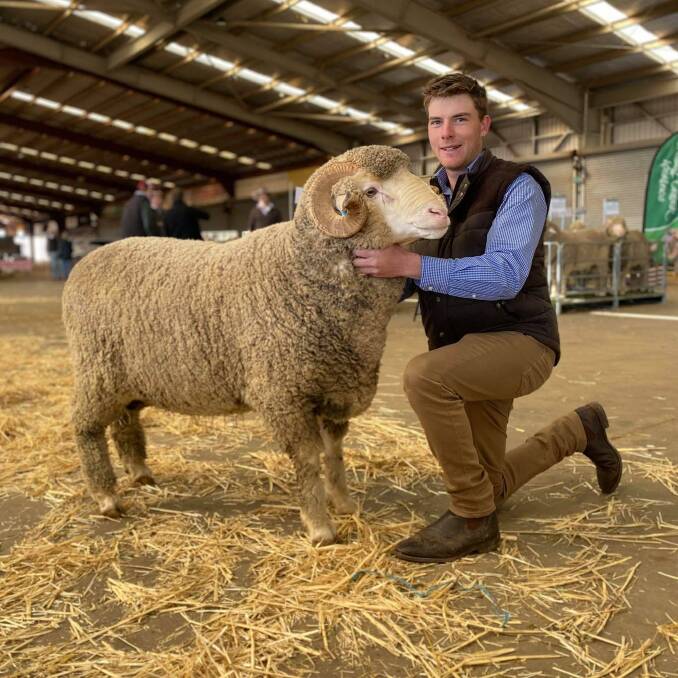 BRIGHT FUTURE: Joe Kingston of The Rock pictured last month in Dubbo, with a Bullenbung Merino Stud ram. Picture: Angus Webb 