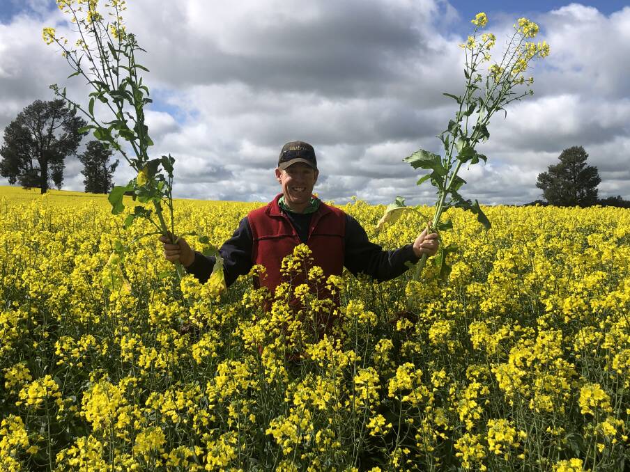 BRIGHT OUTLOOK: Ben Langtry of "Marravale", is pictured with a stunning crop of canola. Picture: Nikki Reynolds