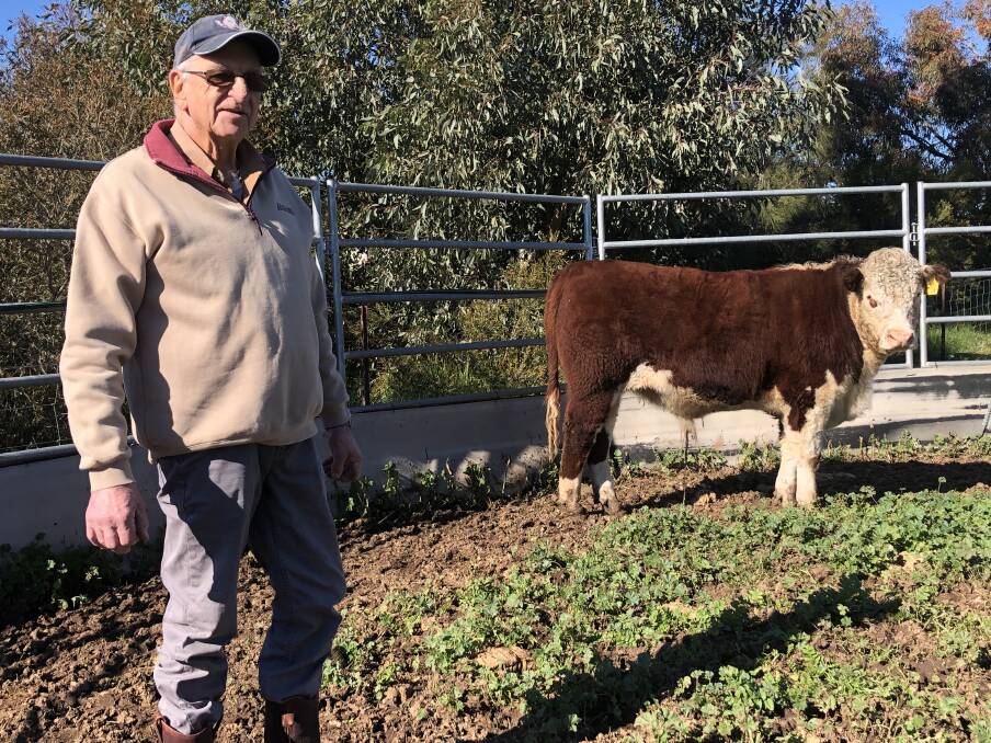 MAKING A DIFFERENCE: John Rodd of Wagga is pictured with the Poll Hereford steer which sold for charity. Picture: Nikki Reynolds