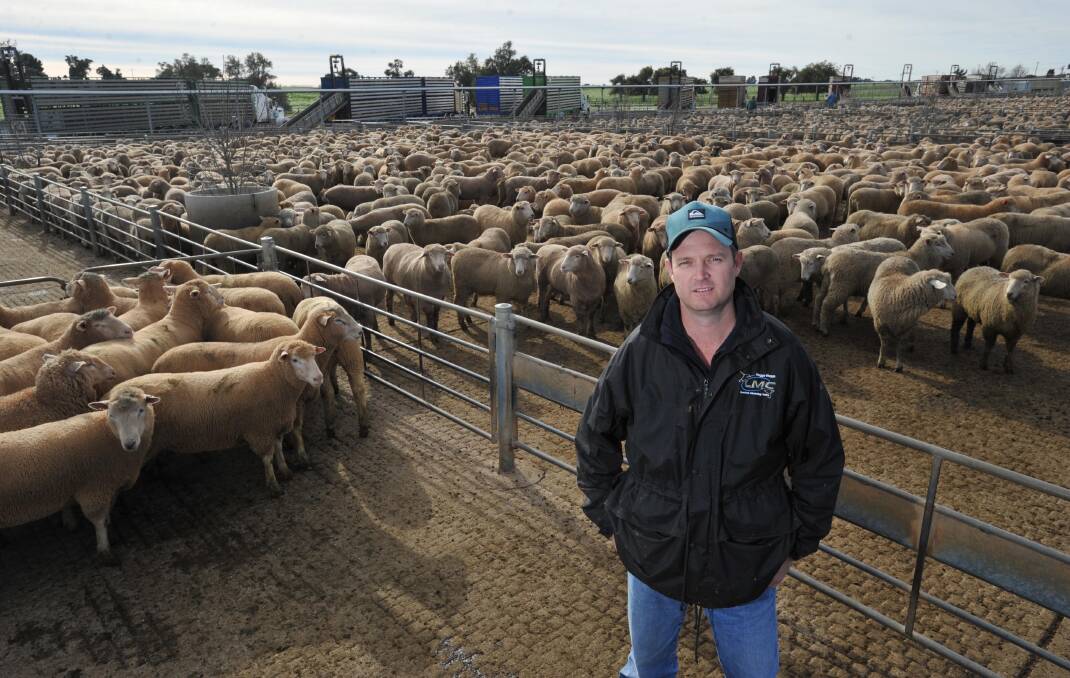 SIGNIFICANT CONTRIBUTOR: Wagga Livestock Marketing Centre manager Paul Martin is pictured at the sheep and lamb sale. 