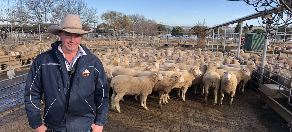 SKY'S THE LIMIT: Auctioneer James Tierney sold these lambs on behalf of Jeff Crawford of "Pine Grove," Temora for $258.20. Picture: Nikki Reynolds