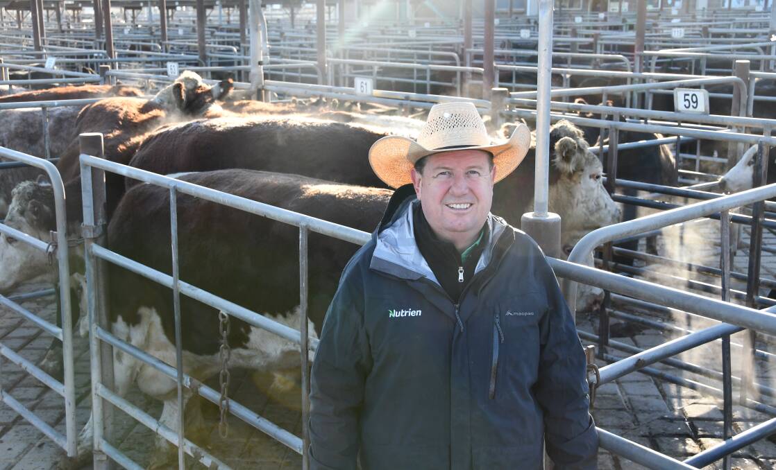 VALUABLE INDUSTRY: Peter Cabot is the Australian Livestock and Property Agents president and livestock manager with Nutrien Wagga. 