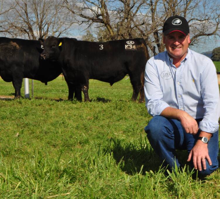 HIGH PRICE: The top-priced bull Ireland's Kelleher K34 is pictured with Ireland's Angus principal Corey Ireland.