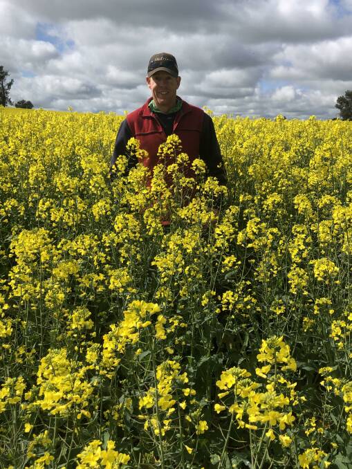 GREAT RESULTS: Ben Langtry pictured in his canola crop. Picture: Nikki Reynolds