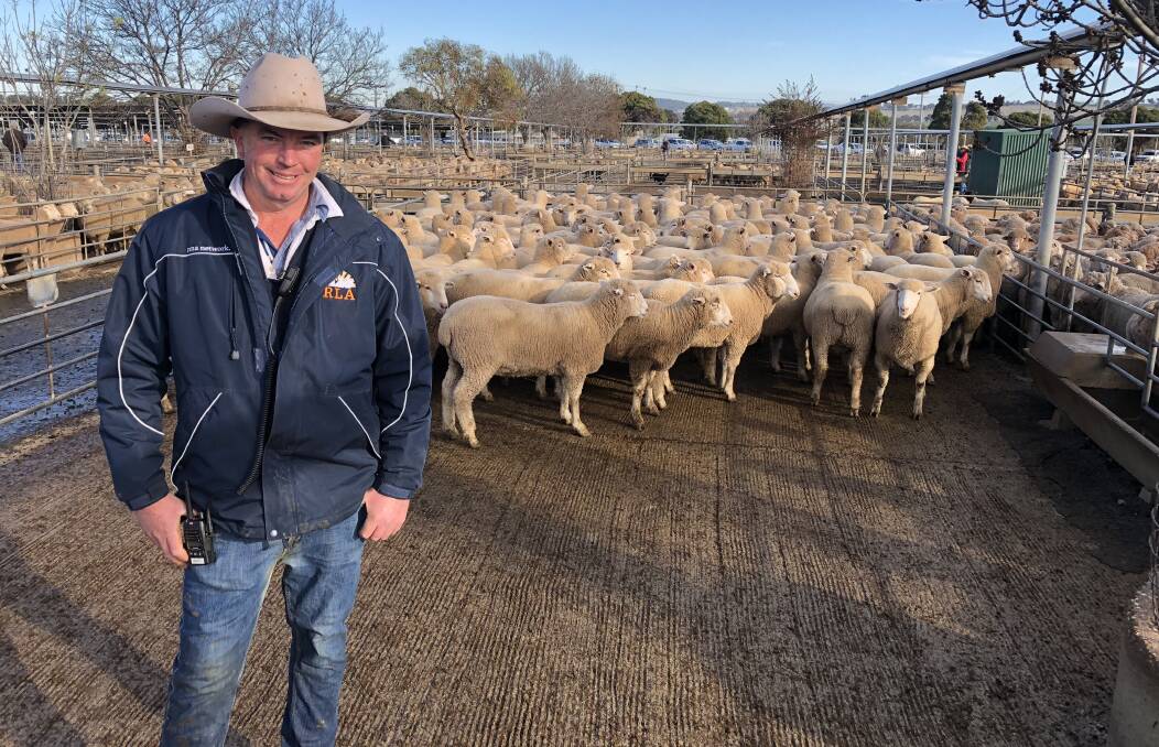 EYES ON MARKET: James Tierney of Riverina Livestock Agents (RLA) pictured at Wagga Livestock Marketing Centre. Picture: Nikki Reynolds